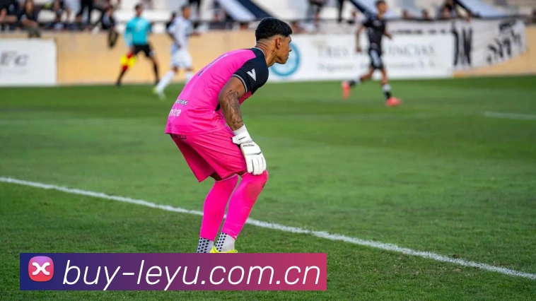 乐鱼体育发展历程